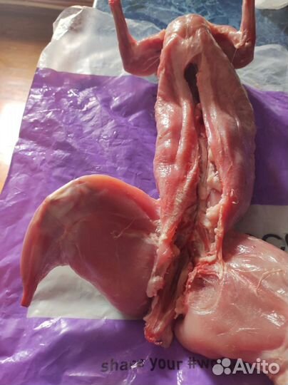 Мясо кролика