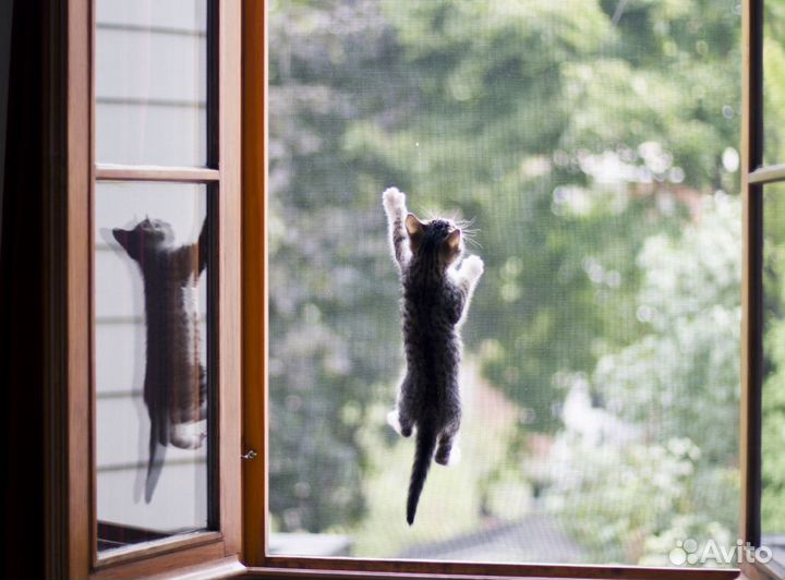 Москитные сетки на окна. Москитная сетка на дверь