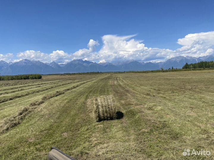 Продам сено в рулонах, 350 кг. Доставка