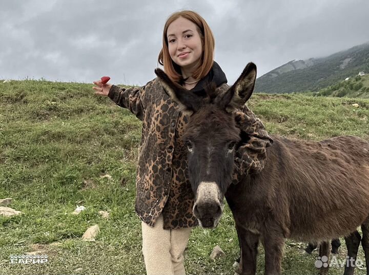 Тур по Дагестану на 1 день все включено