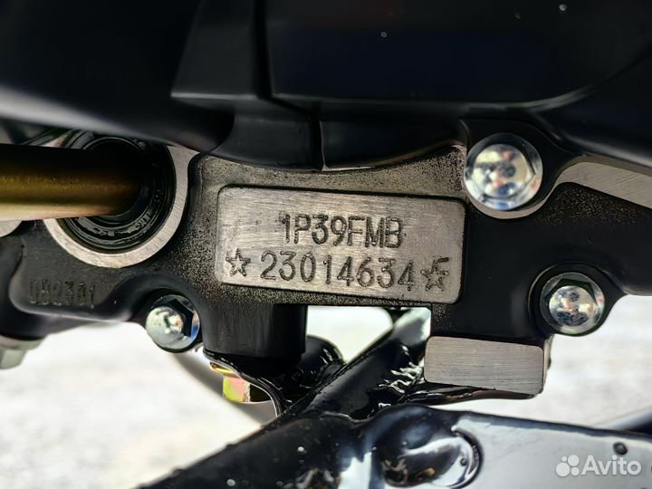 Мопед Alpha RS12M Champ Новый