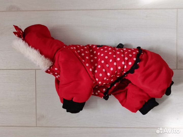 Комбинезон для маленькой собачки