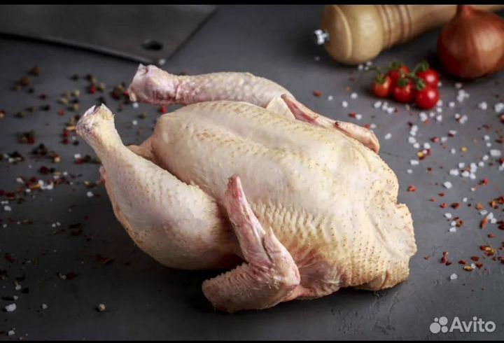 Домашние куры, шашлык куриный