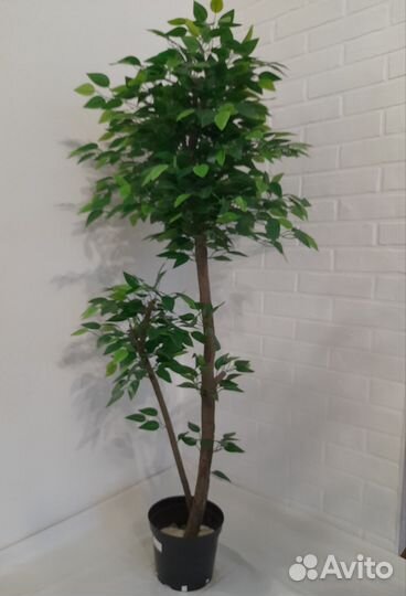Искуственное растение декоративное дерево фикус
