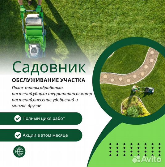 Фотиния растения из питомника, озеленение