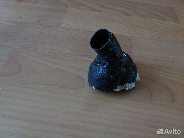 Ракушка Serpulorbis colubrinus 94 мм Редкая