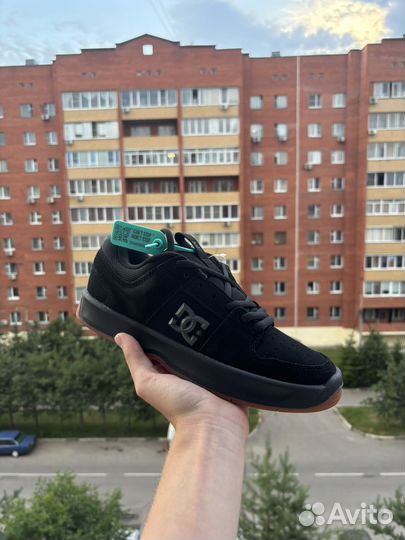 DC Shoes Lynx Zero