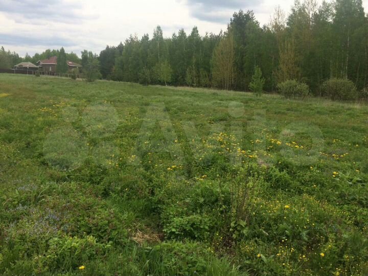 Участок 25 сот. (ИЖС)