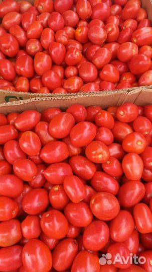 Вкуснейшие,полезные овощи и фрукты