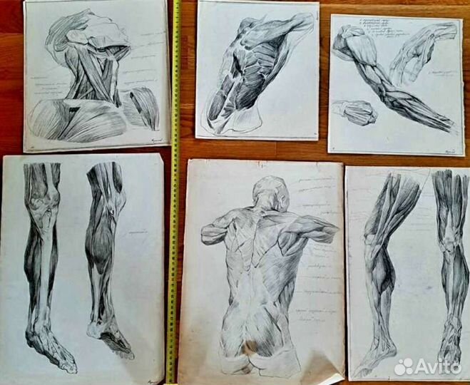 Графика Картины СССР