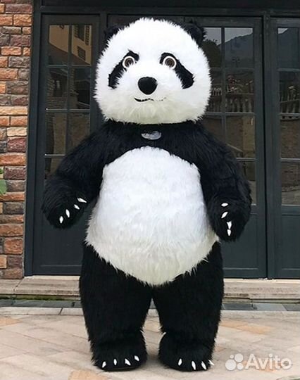 Аниматор на праздник, мероприятие, корпоратив