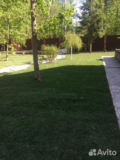 Укладка газона стандарт