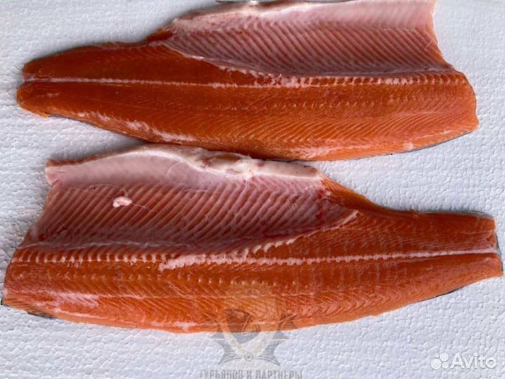 Форель килька обрезь лосося скумбрия горбуша опт