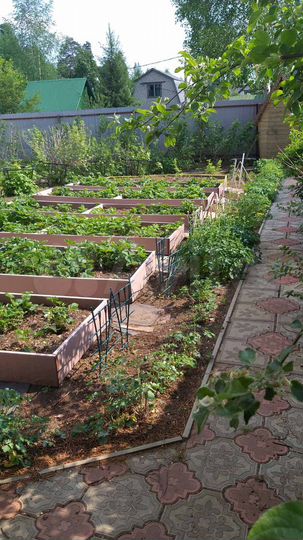 Дача 60 м² на участке 4,2 сот.