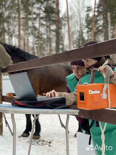 Ветеринарная помощь лошадям