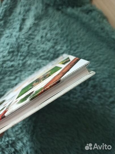 Детская энциклопедия выживание