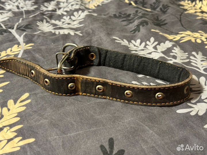 Ошейник для собак