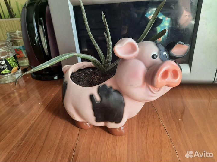 Кашпо для цветов