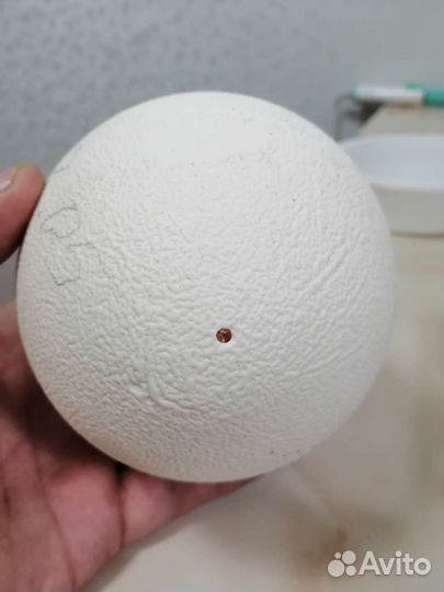 Скорлупа страусинного яйца