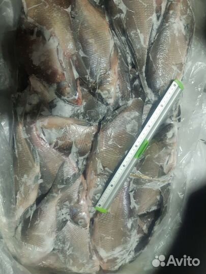 Вобла Астраханская Морож.невод