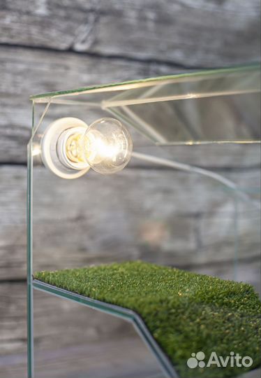 Акватеррариум для черепахи