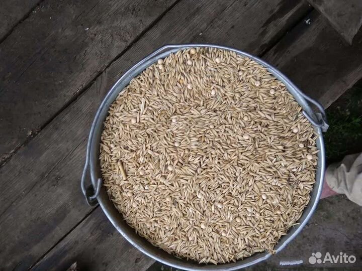 Зерносмесь