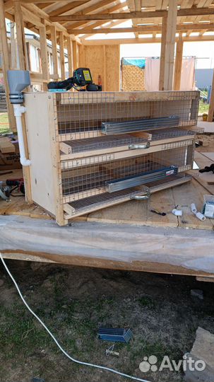 Клетка для перепелок несушек