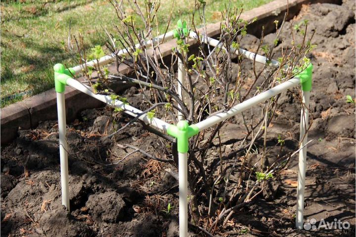 Кустодержатель (опора для растений)