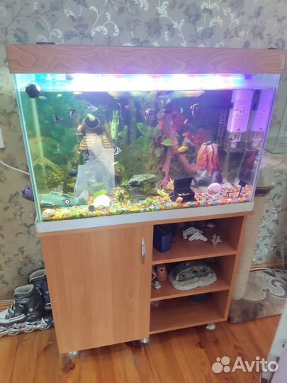 Аквариум с тумбой. 140л