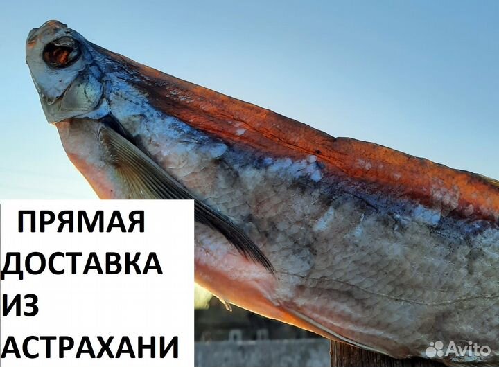 Астраханская вяленая чехонь/Доставка