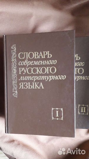 Словарь современного русского литературного языка