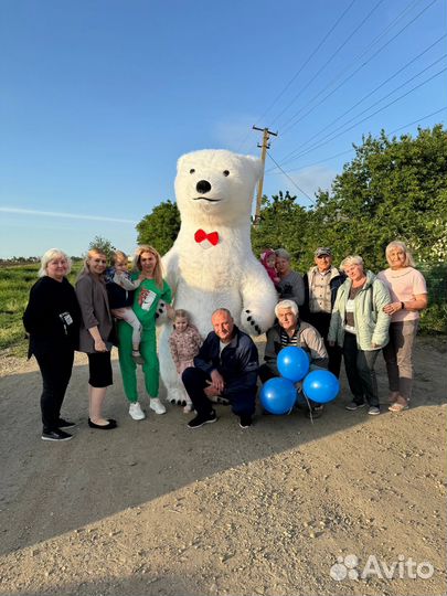 Ростовая кукла, медведь, чебурашка, поздравление