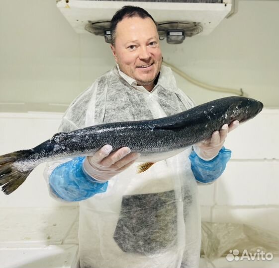 Рыба и деликатесы - лучший подарок