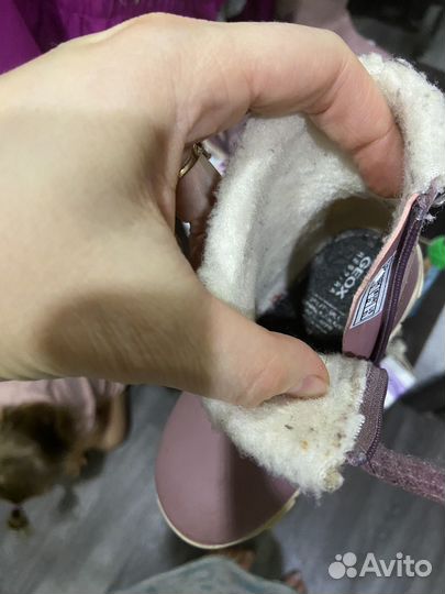 Демисезонные ботинки geox 22