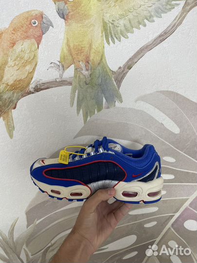 Nike air max tailwind 4