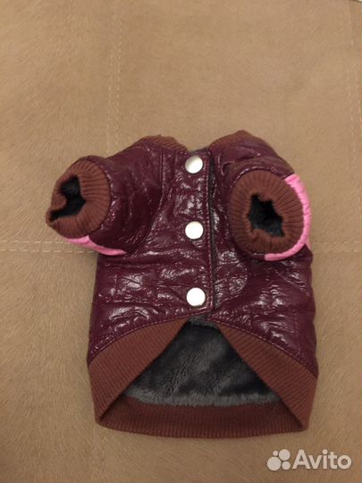 Одежда для собак