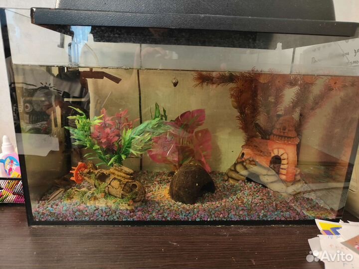 Аквариум