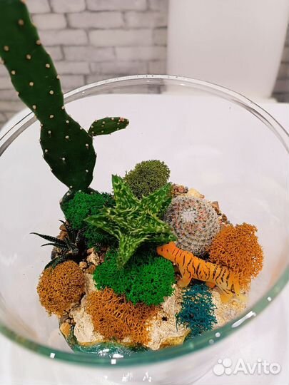 Флорариум. Цветы. Подарок