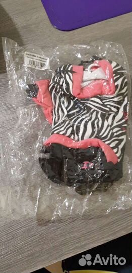 Одежда для собак