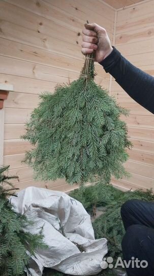 Пихтовые веники для бани