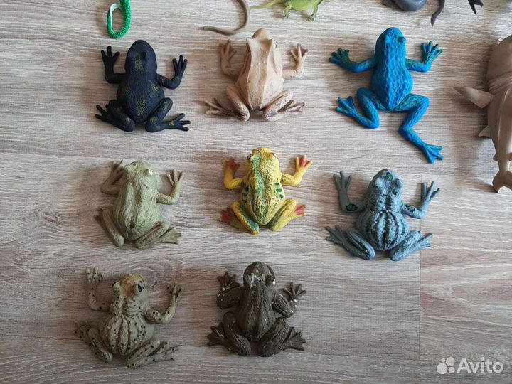 Коллекции лягушек, акул, геконов