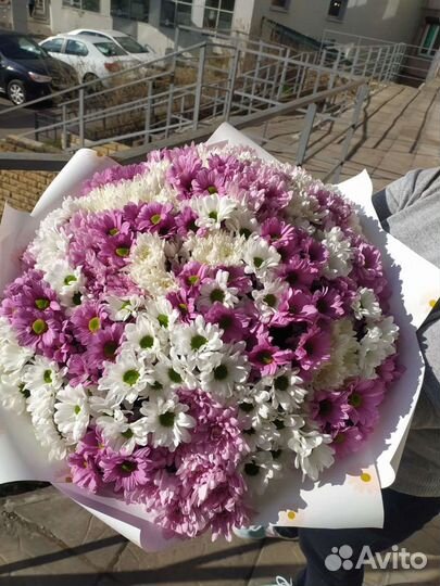 Букет цветов, 51 хризантема