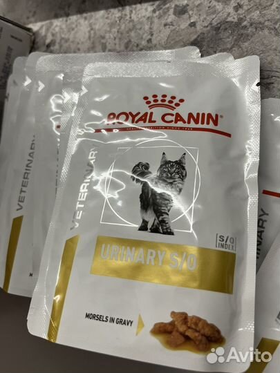 Royal canin urinary для кошек влажный