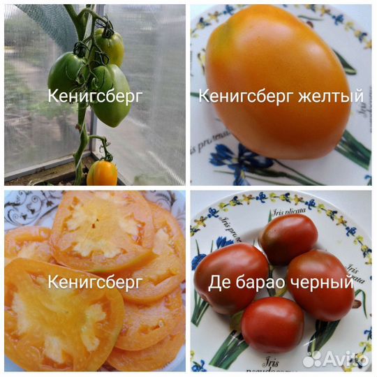 Семена сортовых помидор,Бамии,Перца остр,Тзимбалло