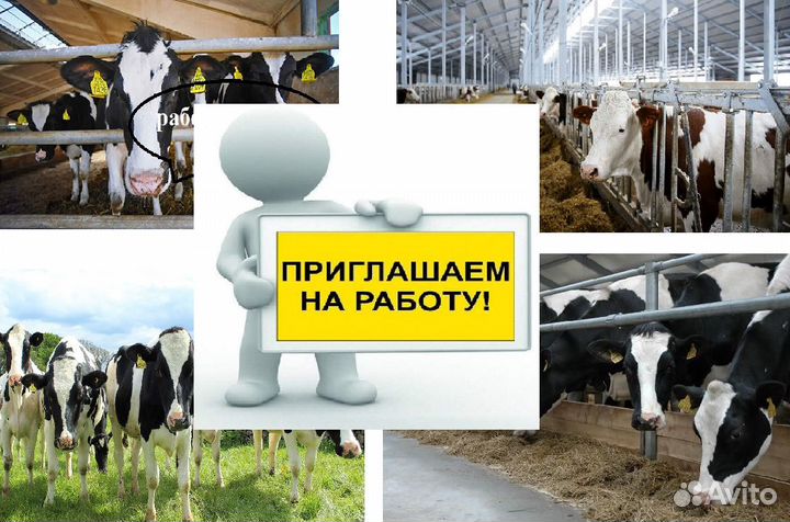 Рабочий на ферму