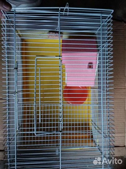 Клетка переноска для мелких грызунов