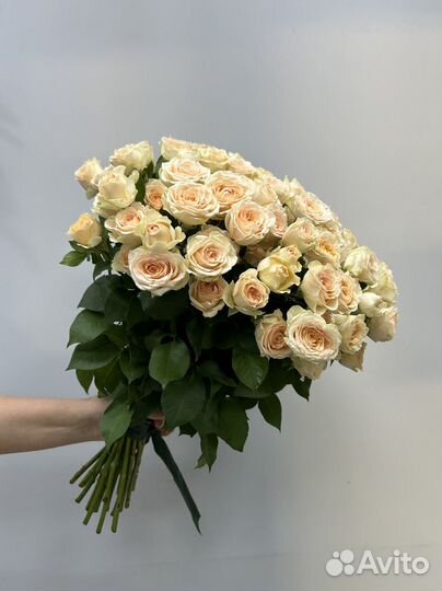 Кустовые розы