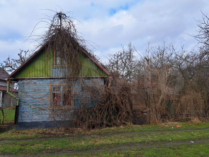 Участок 3,9 сот. (СНТ, ДНП)