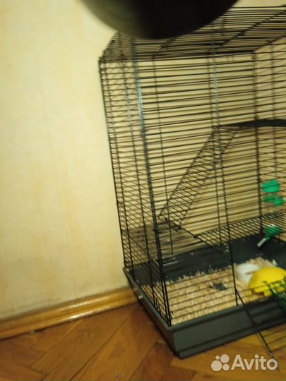 Клетка для грызунов большая