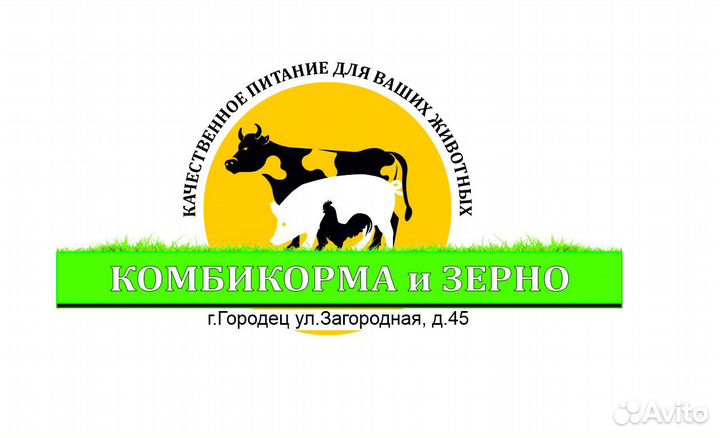 Комбикорма и зерно